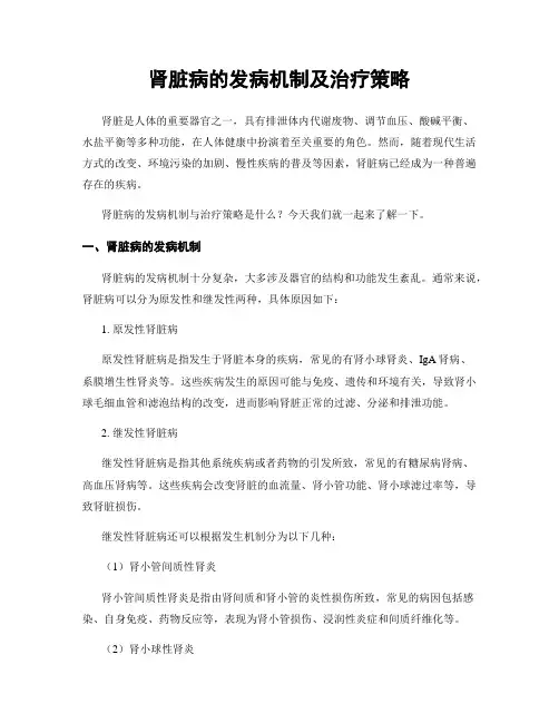 肾脏病的发病机制及治疗策略