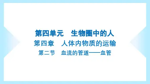 人教版七年级下册生物同步课件第四单元生物圈中的人第四章人体内物质的运输第二节血流的管道——血管