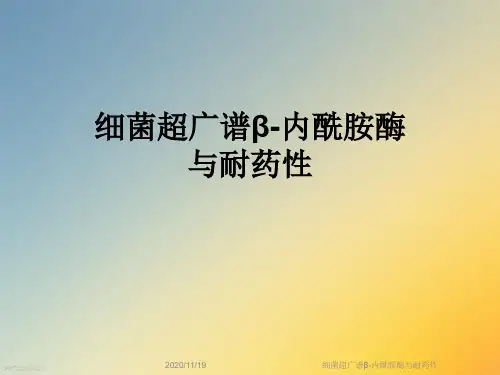 细菌超广谱β-内酰胺酶与耐药性