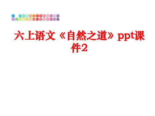 最新六上语文《自然之道》ppt课件2