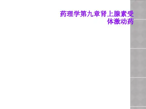 药理学第九章肾上腺素受体激动药