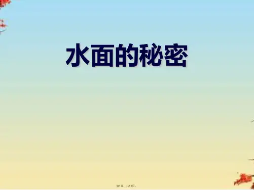 三级上册科学课件 《水面的秘密》∣青岛版(共11张PPT)