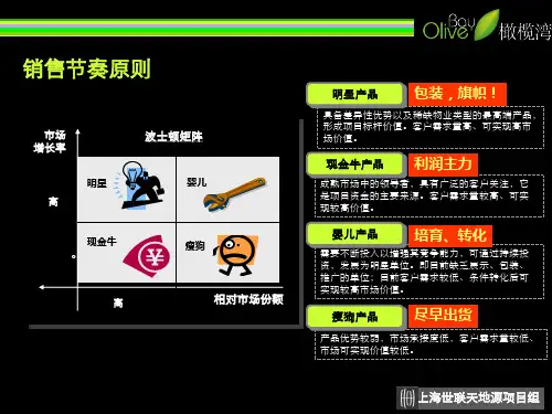 房地产波士顿矩阵研究分析报告
