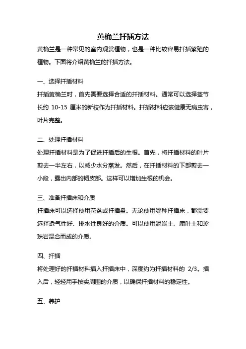 黄桷兰扦插方法