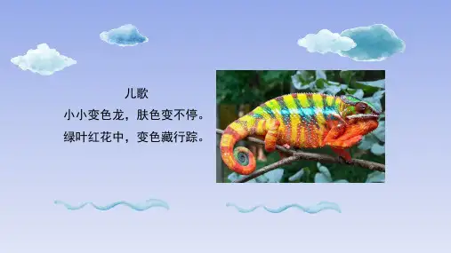 湖南美术出版社小学一年级美术下册《变色龙》优秀课件