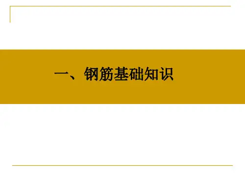 钢筋识图(手把手教你)适合新手