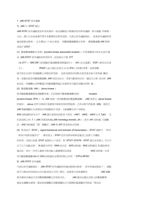 肿瘤常见信号通路