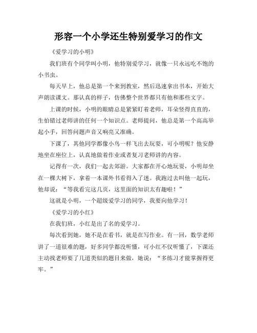形容一个小学还生特别爱学习的作文