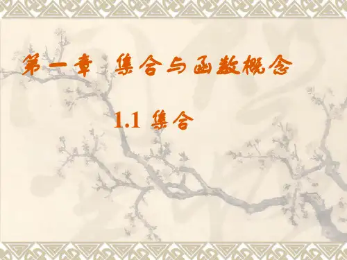 山东省巨野县第一中学人教A版高中数学必修一《第一章集合与函数概念》复习课件