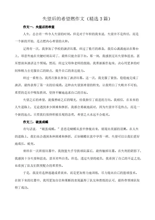 失望后的希望燃 作文(精选3篇)