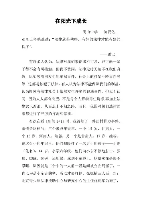 在阳光下成长