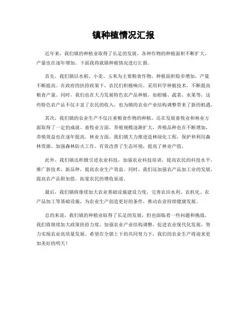 镇种植情况汇报