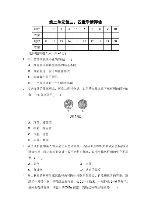 2024年人教版七年级生物上册 第二单元第三、四章学情评估(含答案) 