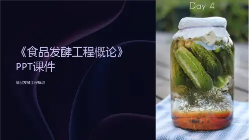 《食品发酵工程概论》课件