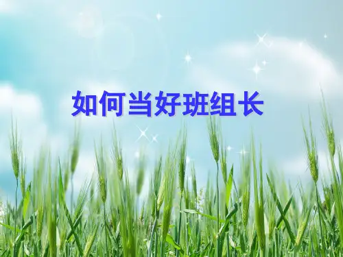 《如何当好班组长》PPT课件