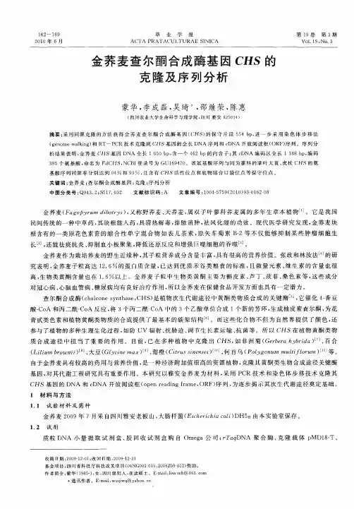 金荞麦查尔酮合成酶基因CHS的克隆及序列分析