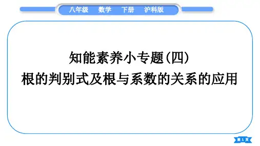 沪科版八年级数学下第17章一元二次方程知能素养小专题(四)根的判别式及根与系数的关系的应用习题课件