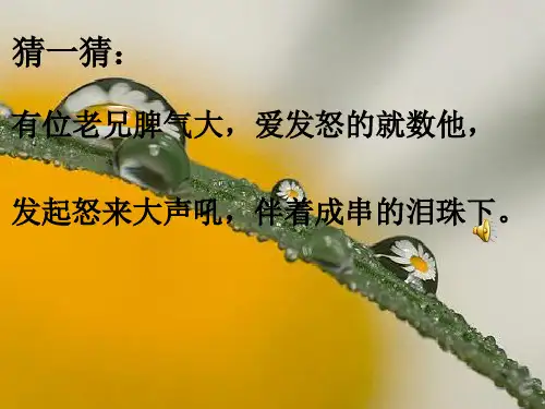 人教版小学语文二年级《雷雨》PPT课件