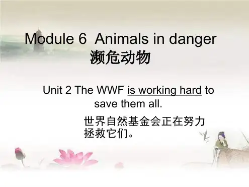 外研版英语八年级上册Module6unit2课文