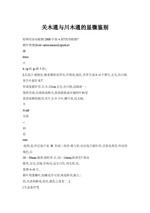 【doc】关木通与川木通的显微鉴别