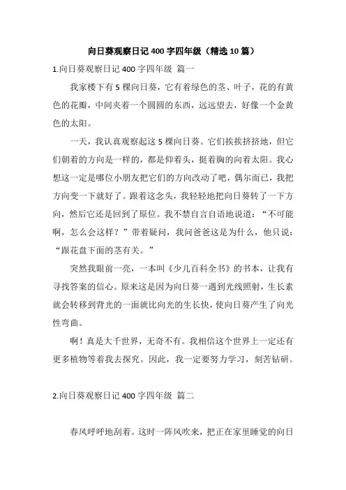 向日葵观察日记400字四年级(精选10篇)