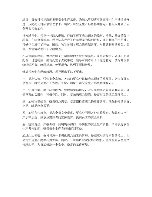 领导来视察应急预案