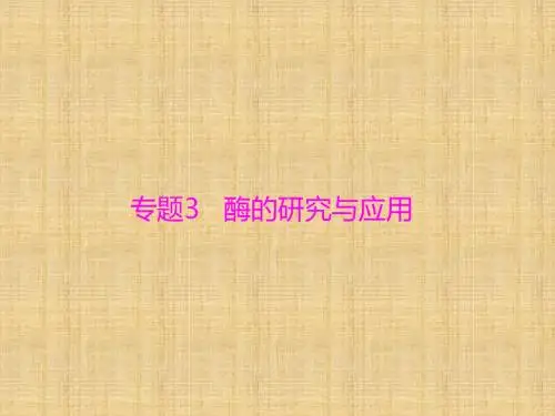 高考生物一轮总复习 生物技术实践 专题3 酶的研究与应用名师课件 选修1