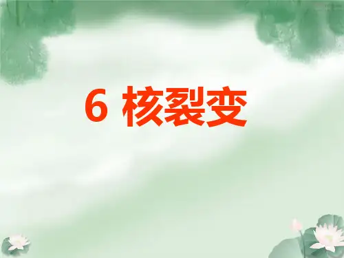 19.6核裂变
