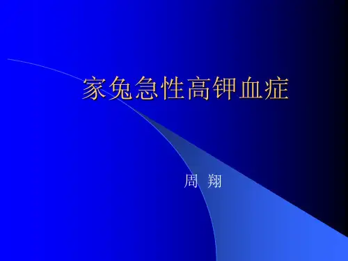 机能实验兔高钾血症