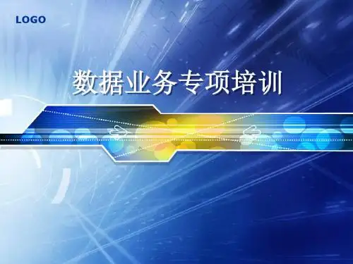 《数据业务专项培训》PPT课件