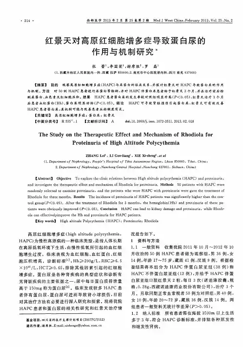 红景天对高原红细胞增多症导致蛋白尿的作用与机制研究