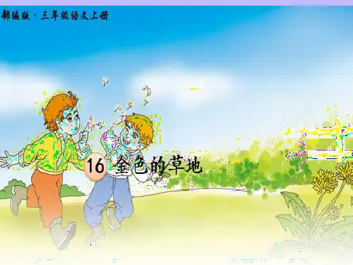 三年级上册语文课件-16金色的草地  人教部编版(共20张PPT)