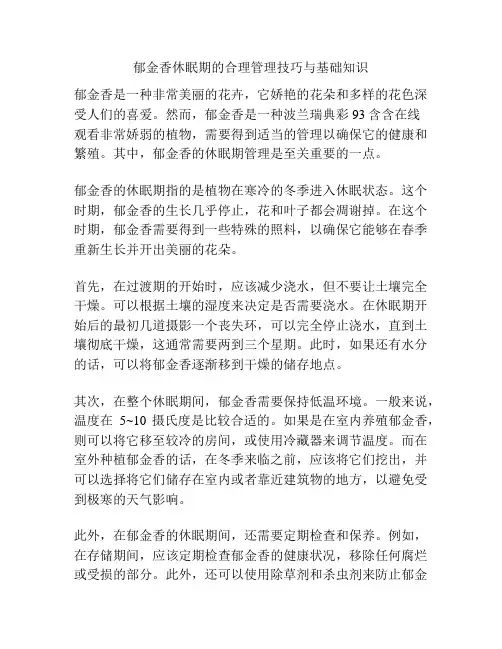 郁金香休眠期的合理管理技巧与基础知识