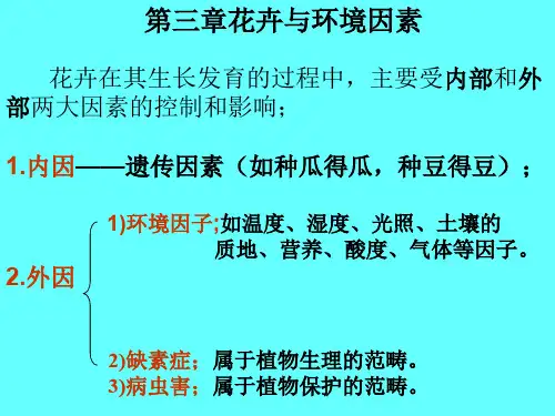第三章花卉与环境因素共40页文档