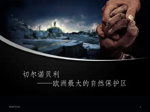 切尔诺贝利(自由教学)课件