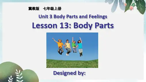 七年级英语上册 Unit 3 Lesson 13 Body Parts课件 冀教版