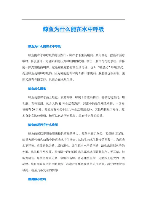 鲸鱼为什么能在水中呼吸