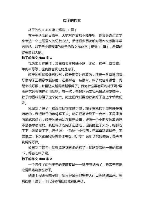 粽子的作文400字（精选11篇）