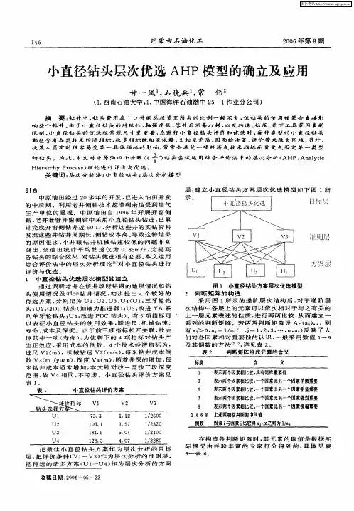小直径钻头层次优选AHP模型的确立及应用