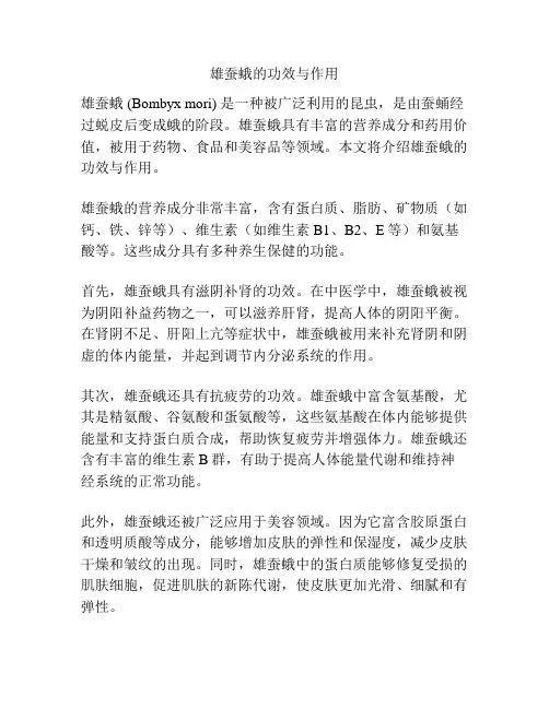 雄蚕蛾的功效与作用