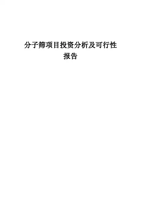 2024年分子筛项目投资分析及可行性报告