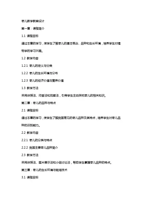 枣儿教学教案设计