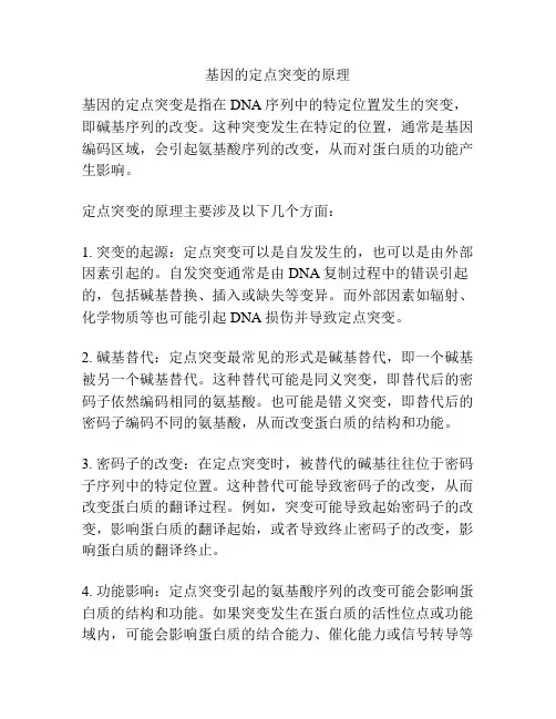 基因的定点突变的原理