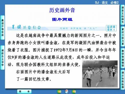 苏教版《图片两组》ppt课件