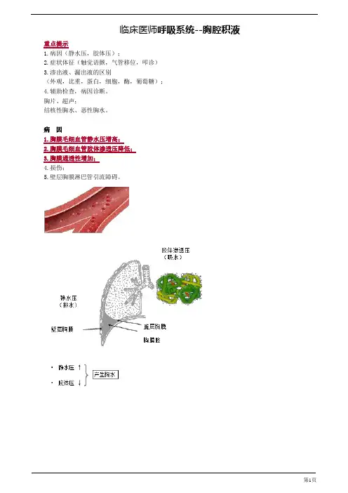 临床医师呼吸系统--胸腔积液