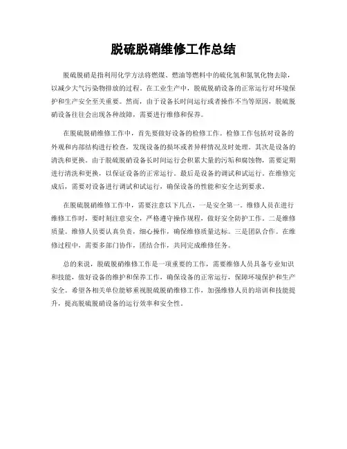 脱硫脱硝维修工作总结