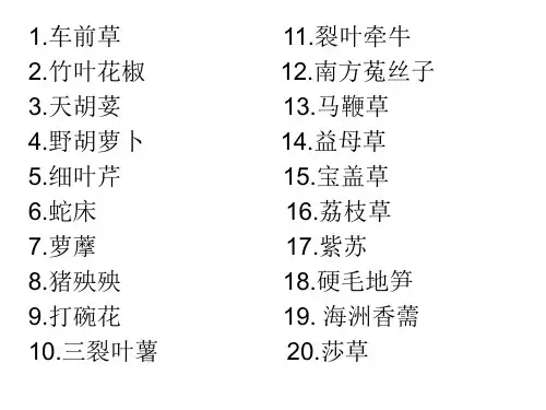 常见野草100种(3)