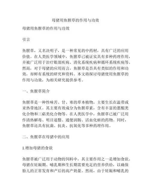母猪用鱼腥草的作用与功效