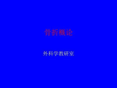 骨折概论