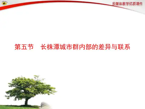 长株潭城市群内部的差异与联系优质课课件